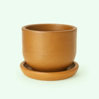 Maceta de barro artesanal con platillo