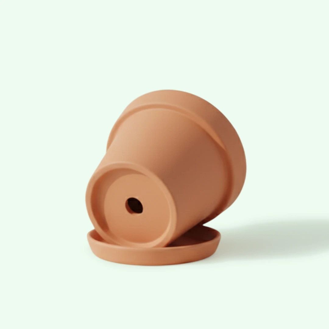Maceta de Terracota con Platillo