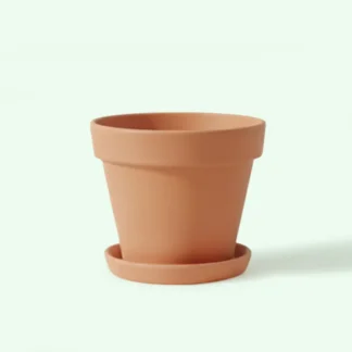 Maceta de Terracota con Platillo