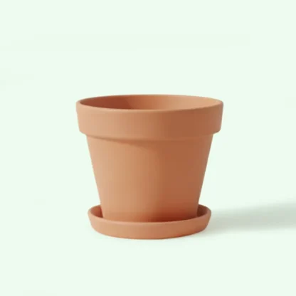 Maceta de Terracota con Platillo