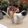 regadera para plantas color plata
