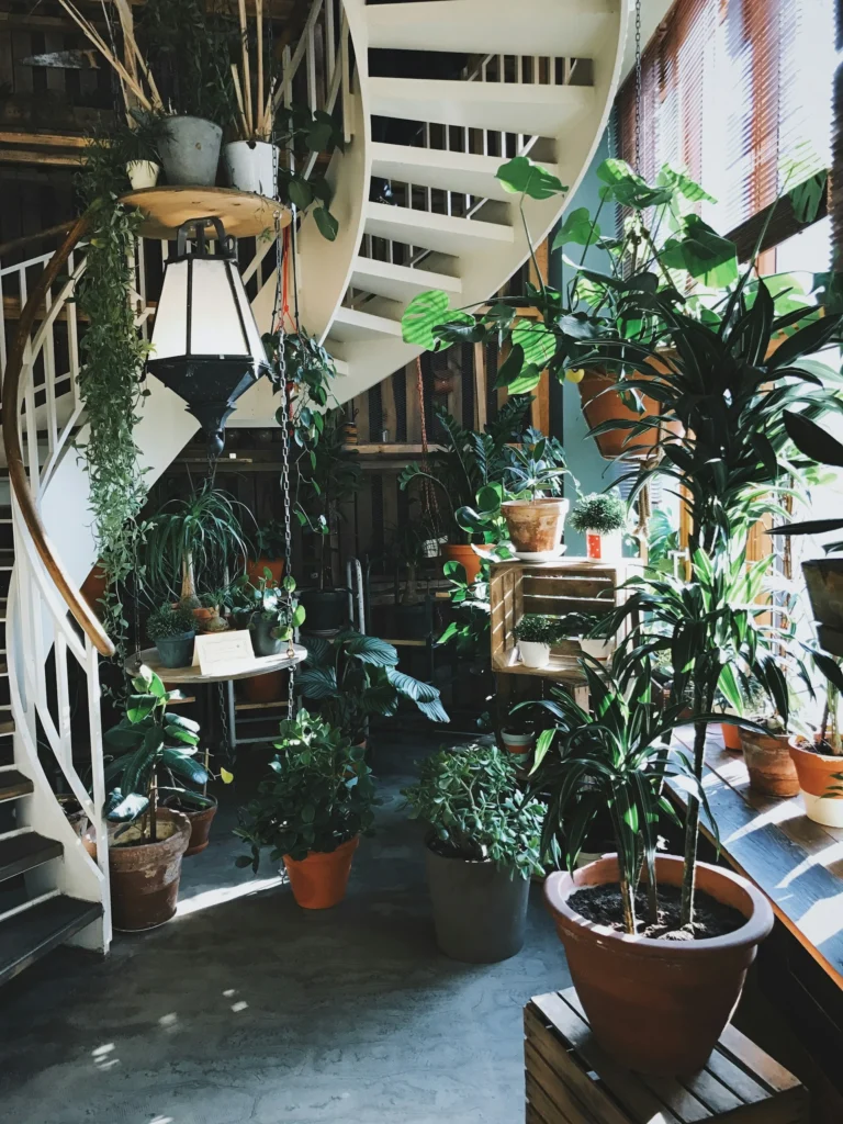 Cómo crear un jardín interior sustentable - Foto: Unsplash