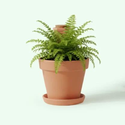Kit maceta con platillo y cono de autorriego de terracota