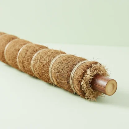 Tutor para plantas de bambú, musgo y fibra de coco